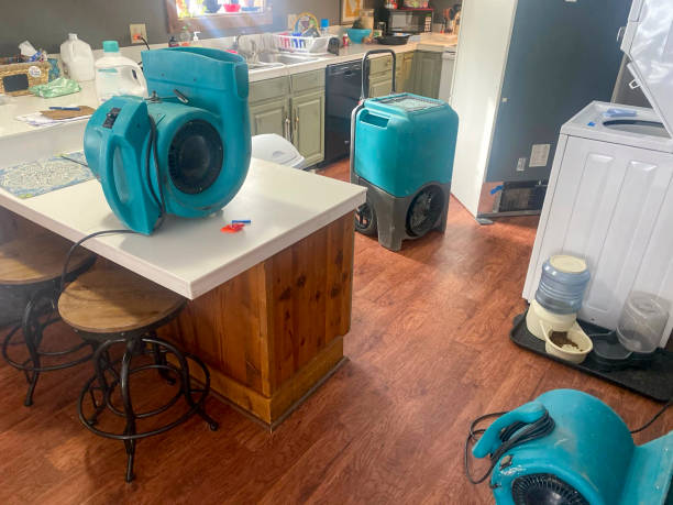 Best Residential water damage restoration  in Medford Lakes, NJ