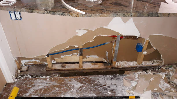 Best 24-hour water damage restoration  in Medford Lakes, NJ
