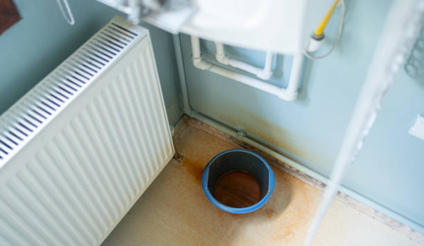 Best Professional water damage repair  in Medford Lakes, NJ
