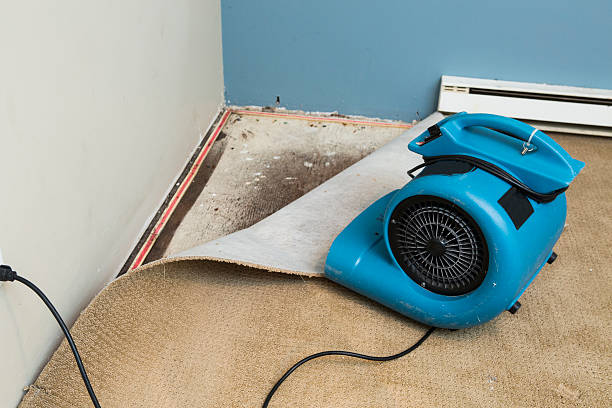 Best Ceiling water damage repair  in Medford Lakes, NJ